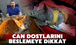 Can dostlarımız için bunlara dikkat!