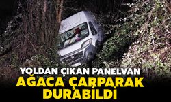 Kontrolden çıkan panelvan ağaca çarparak durabildi