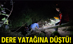 Gece saatlerinde dere yatağına düştü!