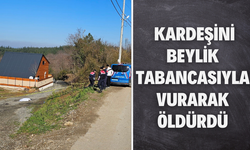 Jandarma ekiplerine teslim oldu