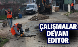 Hendek Belediyesi'nden Yoğun Saha Çalışmaları Devam Ediyor