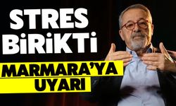 Naci Görür uyardı: Stres birikti