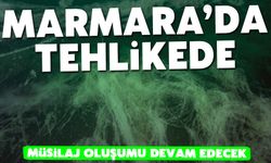 Marmara Denizi'nde tehlike!