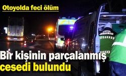 Parçalanmış ces*et bulundu!