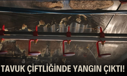 Tavuk çiftliğinde yangın çıktı!