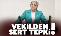 CHP Milletvekili Ayça Taşkent'ten Zam Tepkisi