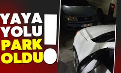 Yaya yolu parka dönüştü!