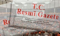DDK'ya "görevden uzaklaştırma" yetkisi