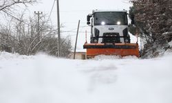 Kar küreme ve tuzlama çalışmaları sürüyor