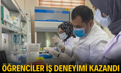 Öğrenciler iş deneyimi kazandı