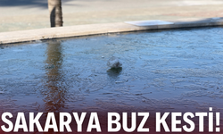 Sakarya buz kesti!