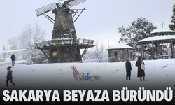 Sakarya beyaza büründü