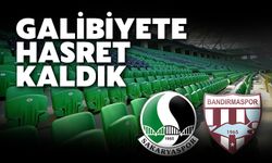 Sakaryaspor istediğini bulamadı!