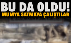 Bu da oldu! Mumya satmaya çalıştılar