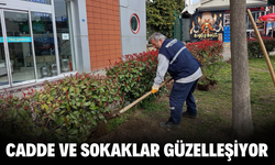 HENDEK BELEDİYESİ'NDEN İLÇEYE ESTETİK DOKUNUŞLAR