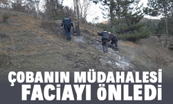 Faciayı önledi