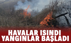 Havalar ısındı, yangınlar başladı