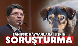 Sahipsiz hayvanlar konusunda görevini ihmal edenlere soruşturma