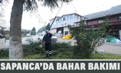 Sapanca Belediyesi’nden İlçeye Bahar Bakımı