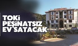 TOKİ'den peşinatsız ev