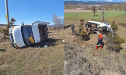 Yoldan çıkan kamyonet tarlaya uçtu: 2 yaralı