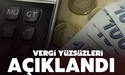 Türkiye'nin vergi yüzsüzleri açıklandı