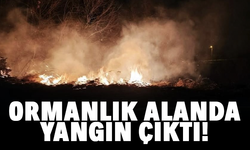 Ormanlık alanda yangın çıktı