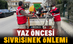 Yaz Öncesi Sivrisinek Önlemi