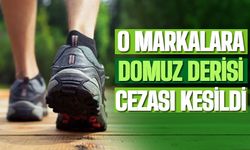 O markalara domuz derisi cezası!