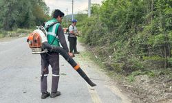 Serdivan Belediyesi’nden Yol Güvenliği İçin Budama Hamlesi