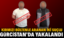 Kırmızı bültenle aranan iki suçlu Gürcistan'da yakalandı