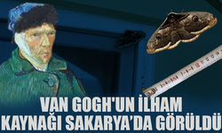 Vincent Van Gogh'un ilham kaynağı Sakarya’da görüldü