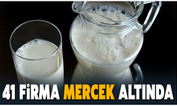 Süt devleri soruşturma altında!