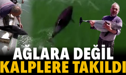 Karasu'da yunusu kurtarıp esprili sözlerle uğurladı