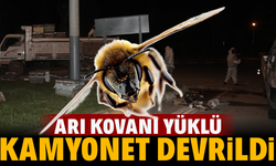 Arı kovanı yüklü kamyonet devrildi