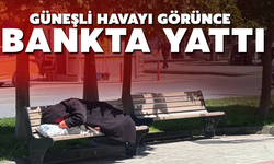 Güneşi görünce bankta yattı