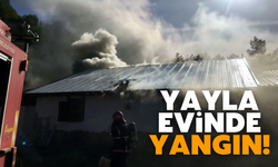 Yayla evinde çıkan yangın söndürüldü