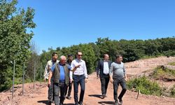 Söğütlü’de Sokak Hayvanları İçin Yeni Barınak Projesi Hızla İlerliyor