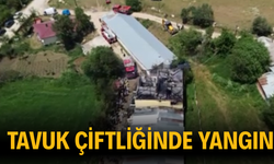 Tavuk çiftliğinde korkutan yangın!