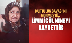 Kurtuluş Savaşı'nı görmüştü: Asırlık çınarı kaybettik