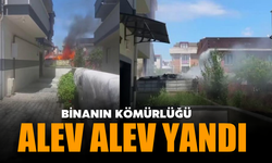Binanın kömürlüğü alev alev yandı