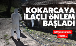 Kahverengi kokarcaya ilaçlı önlem