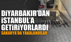 Sakarya'da kaçak silah operasyonu