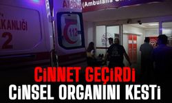 Cinnet geçirdi c-nsel organını kesti!
