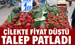 Çilekte Fiyat Düştü, Talep Patladı: Tezgâhlarda Çilek Bereketi