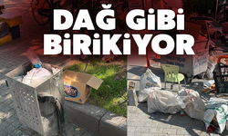 Çöpler dağ gibi birikiyor