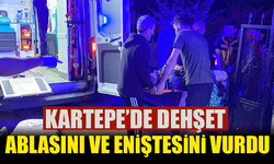 Ablasını ve eniştesini vurdu