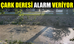 Çark Deresi’nde Kirlilik Alarmı: Vatandaşlar Temizlik Bekliyor