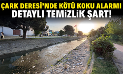 Çark Deresi’nde Kötü Koku Alarmı: Detaylı Temizlik Şart!