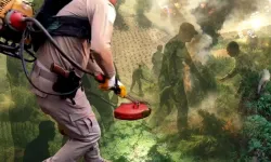 Uzaktan algılama ile zehir tacirlerine geçit verilmedi! Milyonlarca kök kenevir ele geçirildi